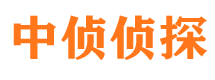 新田侦探